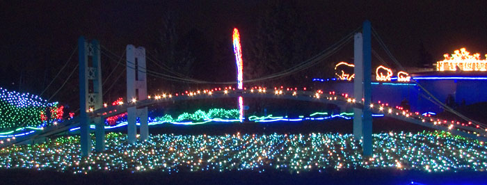 Both bridges at ZooLights, Decmber, 2007
